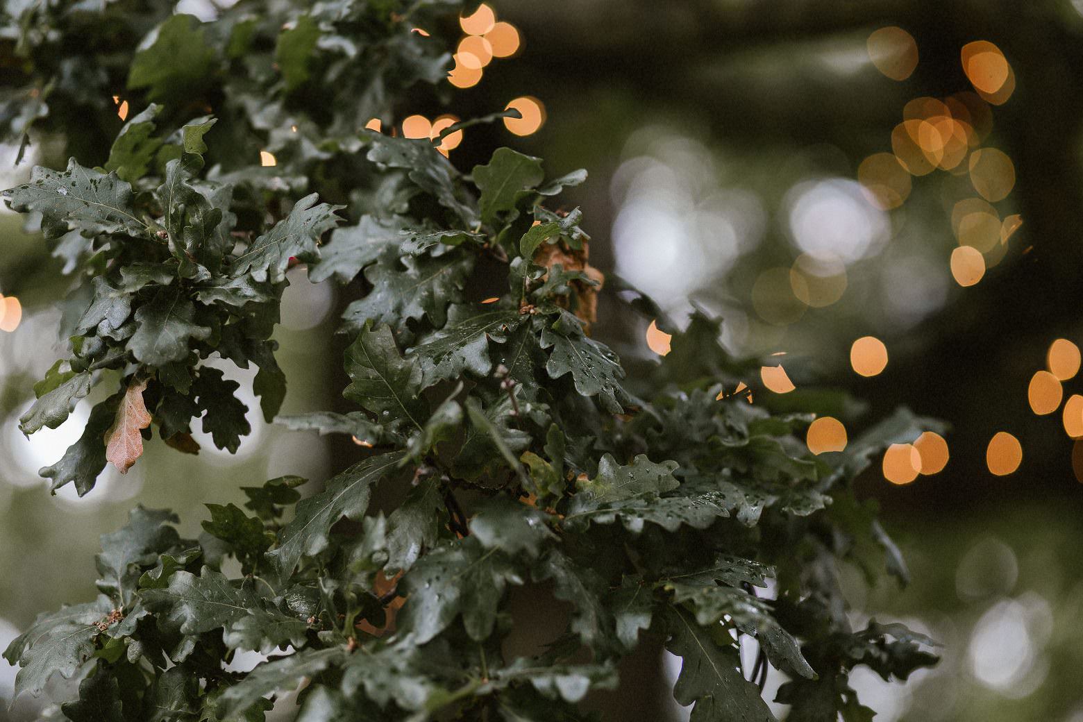 Garden Marquee Wedding Leicestershire Wedding Photography 10